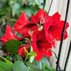 Meet your Posher, Geri